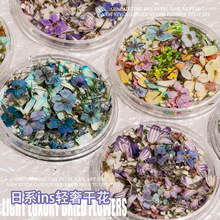 油画风美甲干花饰品blc小花春夏郁金香花瓣日系田园风DIY穿戴甲