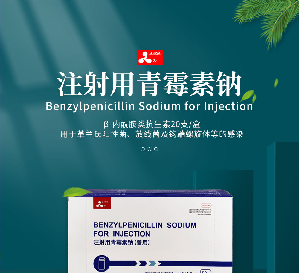 注射用青霉素钠400万单位宠物牛马猪羊驹犊犬猫禽兽用抗菌药