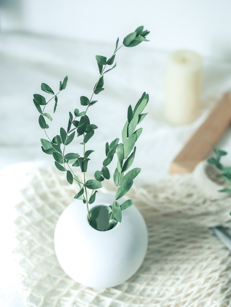 进口细叶尤加利叶干花小尖叶北欧风服装店橱窗装饰道具花永生真花