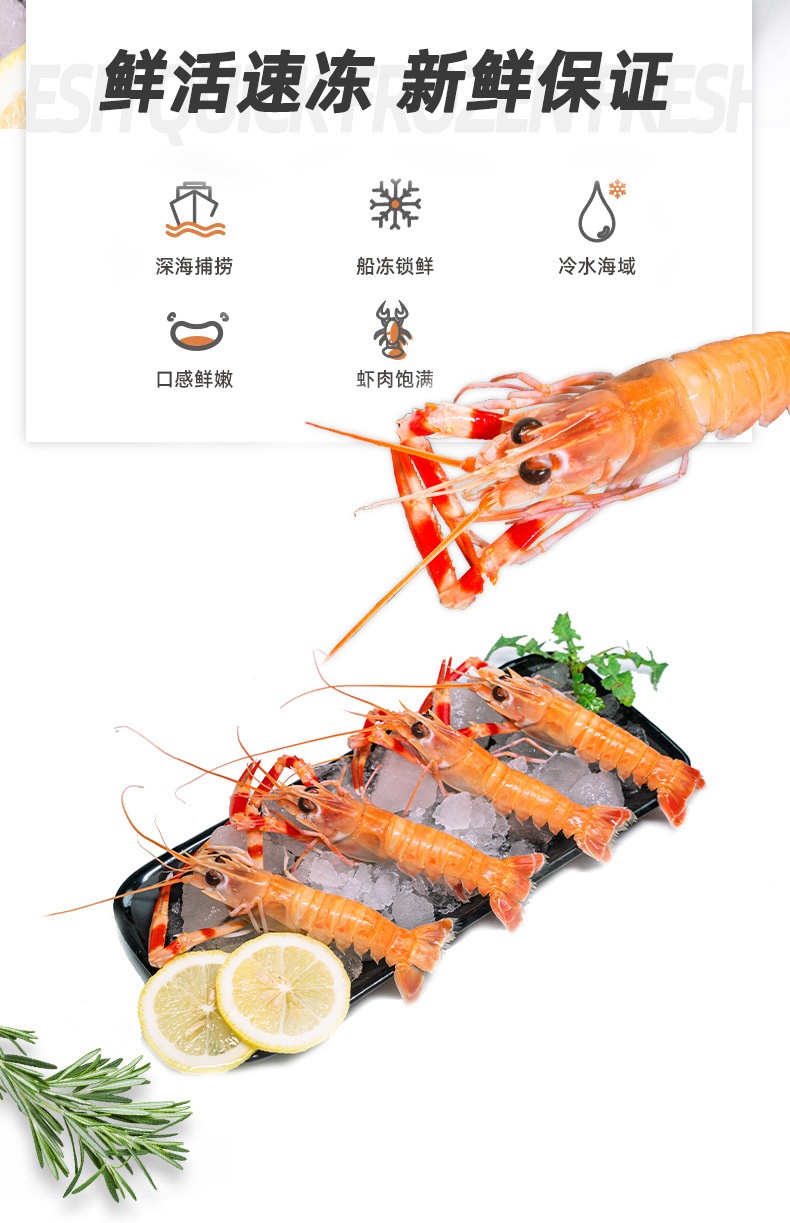 舟山海鳌虾新鲜深海鳌虾刺身甜虾海螯虾熬虾海鲜东海熬虾鲜活批发