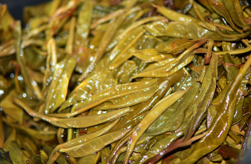 2019冰岛生茶核心产区冰岛湖古茶园130-720年大古树普洱茶七子饼