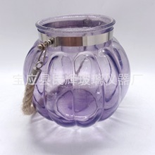 厂家批发玻璃花瓶 带提手水晶花瓶 欧式水培花瓶 小清新家居摆件