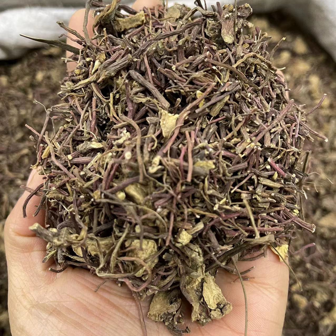 紫菀 水洗货实图拍摄一手货源紫菀 批发各种中药材