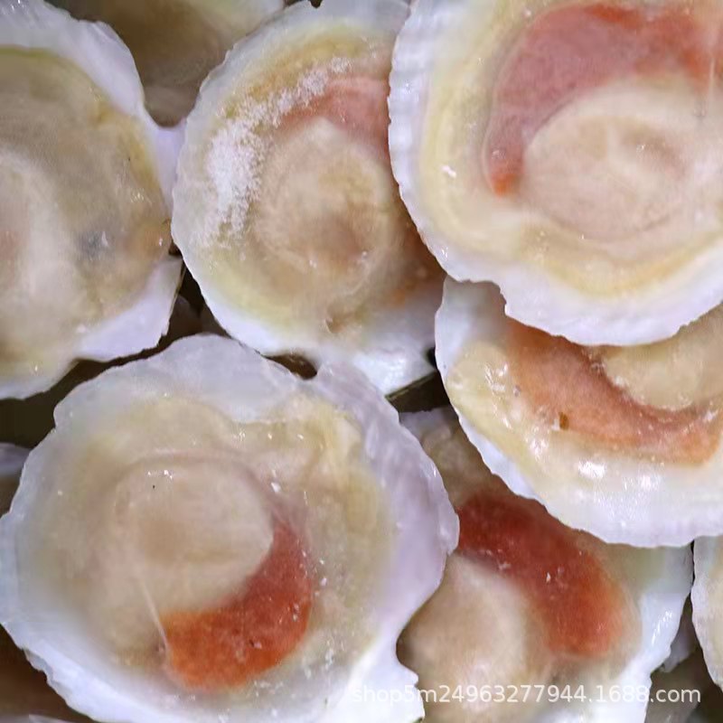 冷冻半壳虾夷扇贝 蒜蓉带卵扇贝 10个袋装海鲜餐饮酒店食材批发
