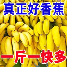 香蕉批发新鲜高山大5/10斤薄皮甜应季水果整箱厂家亚马逊厂家直销