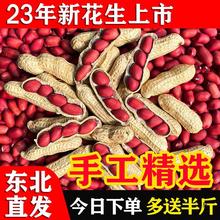 2023新鲜红皮花生带壳生四粒红花生米农家自种晒干炒货原味花生仁
