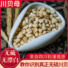 平贝母中药材 贝母500克包邮 精选东北小贝母 无硫平贝母_阿里巴巴找