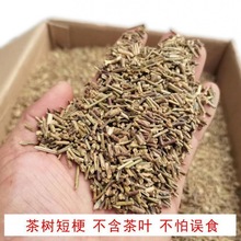 豆腐猫砂梗绿茶棒植物除臭无尘除吸水吸臭味砂膨润土搭配厂家直销