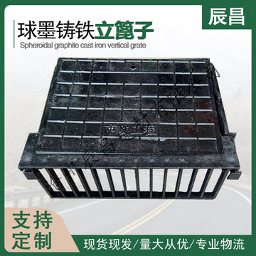 马路侧排立式球墨铸铁篦子三件套现货黑色雨篦子雨水口排水井盖