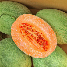 海南哈密瓜当季现摘新鲜水果玫珑瓜西州蜜瓜网纹瓜整箱批发