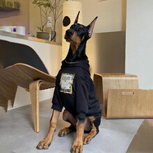 狗狗衣服秋冬大型犬金毛拉布拉多杜宾防掉毛衣服网红狗狗卫衣保暖