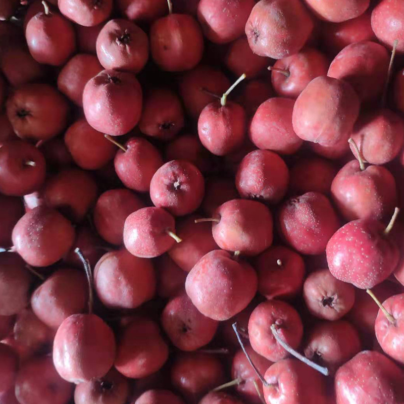 产地直供新鲜山楂大五棱小果一斤55个左右