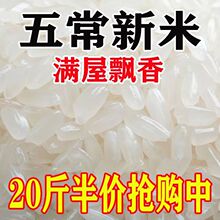 【新米】正宗五常稻花香米长粒香米3斤10斤20斤厂家直销大米批发