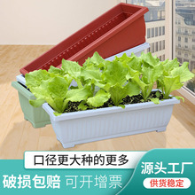 长方形塑料花盆家庭阳台种菜盆养花草莓绿叶菜长条盆加厚霍伦盆