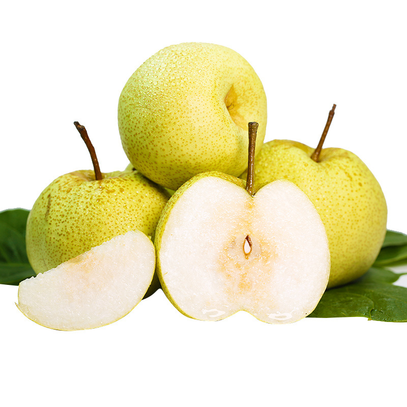 【全年款】安徽砀山梨 新鲜水果梨子应季酥梨现摘砀山酥梨代发