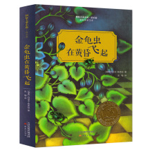 国际大奖小说成长版 金龟虫在黄昏飞起 国际安徒生奖儿童故事书籍