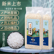礼品大米2斤小包装小袋大米1kg东北大米真空珍珠米