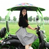 Electric vehicle Anti canopy Canopy new pattern reinforce Shrink Car Wind Sunscreen Canopy install simple goods in stock