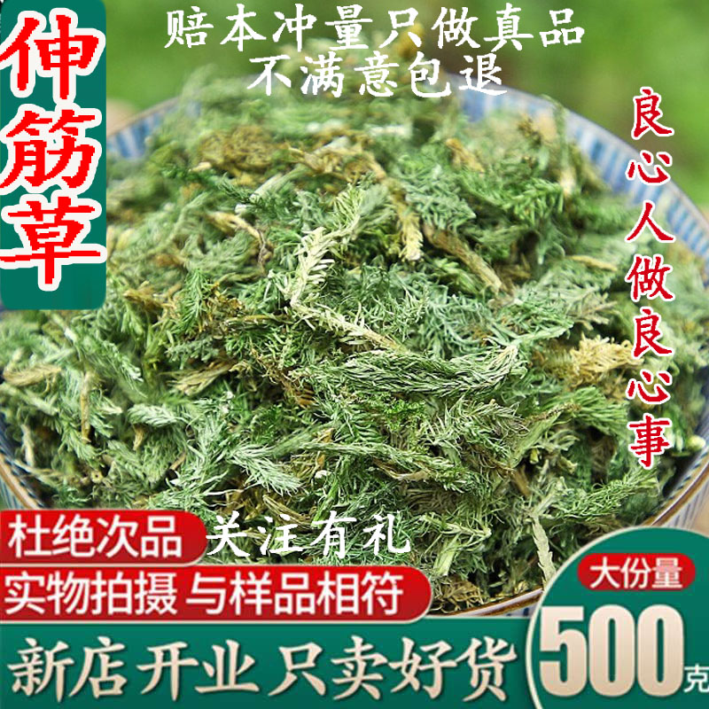 材舒伸筋草500g马尾生筋草筋骨草石松狮子草仁远志三宝汤-阿里巴巴