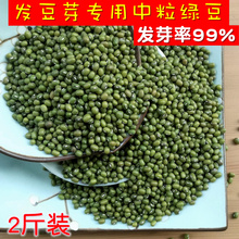 2斤新中粒发豆芽绿豆生绿豆芽豆1000g明绿豆粥汤东北农家自种