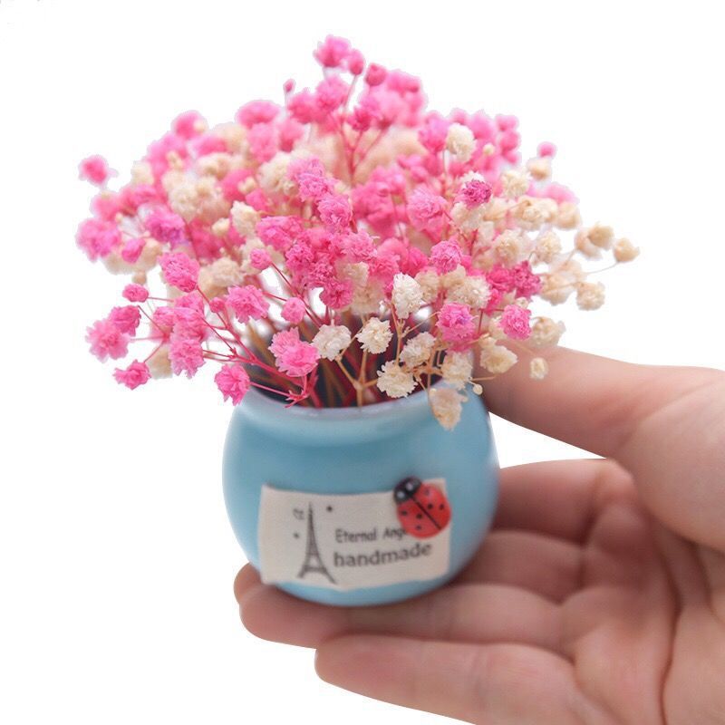 Mini Preserved Fresh Flower Starry Dried Flower Small Vase Home Desk Car Pot Decoration for Birthdays and Valentine's Days Gift