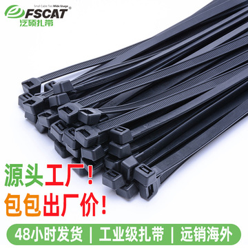 现货塑料自锁式尼龙扎带中性包装捆绑带束线带黑白两色尼龙扎带