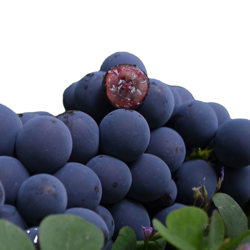 葡萄现摘云南建水夏黑无籽黑蜜整串装新鲜水果非巨峰黑加仑速卖通