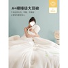 quilt Soybean fibre Winter quilt quilt with cotton wadding thickening keep warm The quilt core spring and autumn air conditioner Bedding dormitory student Set