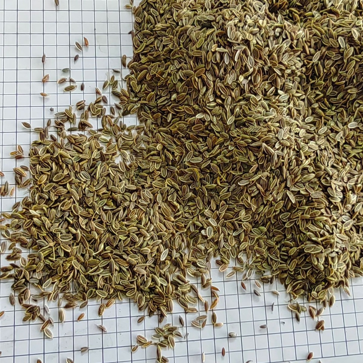 千里香食用香料调料家用商用火锅红烧调料批发-阿里巴巴