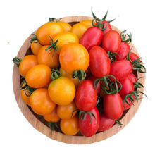 圣女果非千禧小番茄新鲜水果当季整箱蔬菜时令小柿子西红柿源工厂