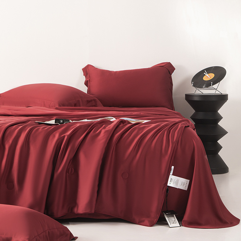 轻奢a类60支兰精天丝夏被四件套冰丝夏凉被可水洗空调被20%大豆被