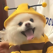 宠物狗狗衣服带帽子连体变装蜜蜂保暖卫衣秋冬款比熊泰迪犬服装