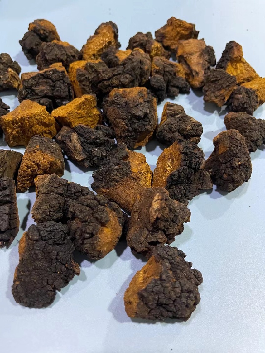 俄罗斯桦树茸黑皮块 一袋一斤 块状桦树茸可代发 冲水喝