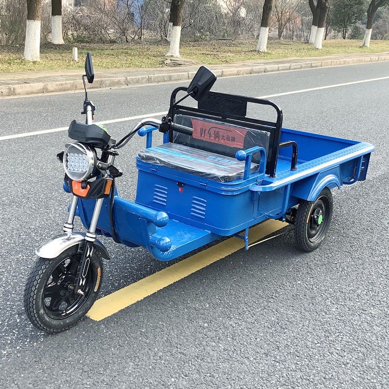 电动三轮车家用小型新款拉货摆地摊平板车载重货客货两用接孩子
