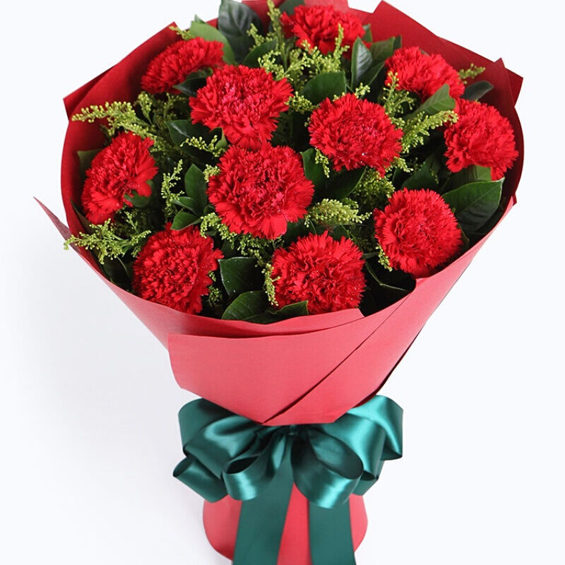 母亲节三八妇女节康乃馨花束鲜花速递同城长沙送妈妈长辈生日