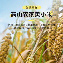 2023年新小黄米沁州黄小米粥有机食用山西农家非养胃敖汉杂粮