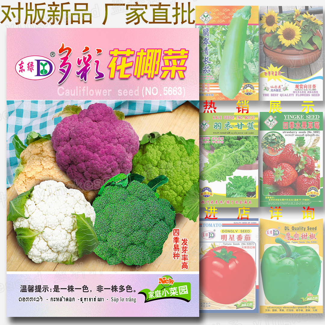 多彩花椰菜种子 约220粒 花菜种子批发 四季高发芽率松花菜紧花菜