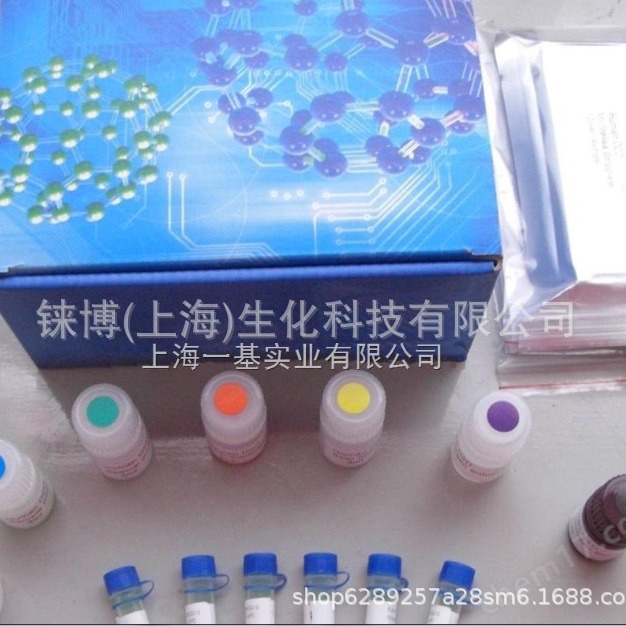 Annexin V-EGFP/PI细胞凋亡检测试剂盒