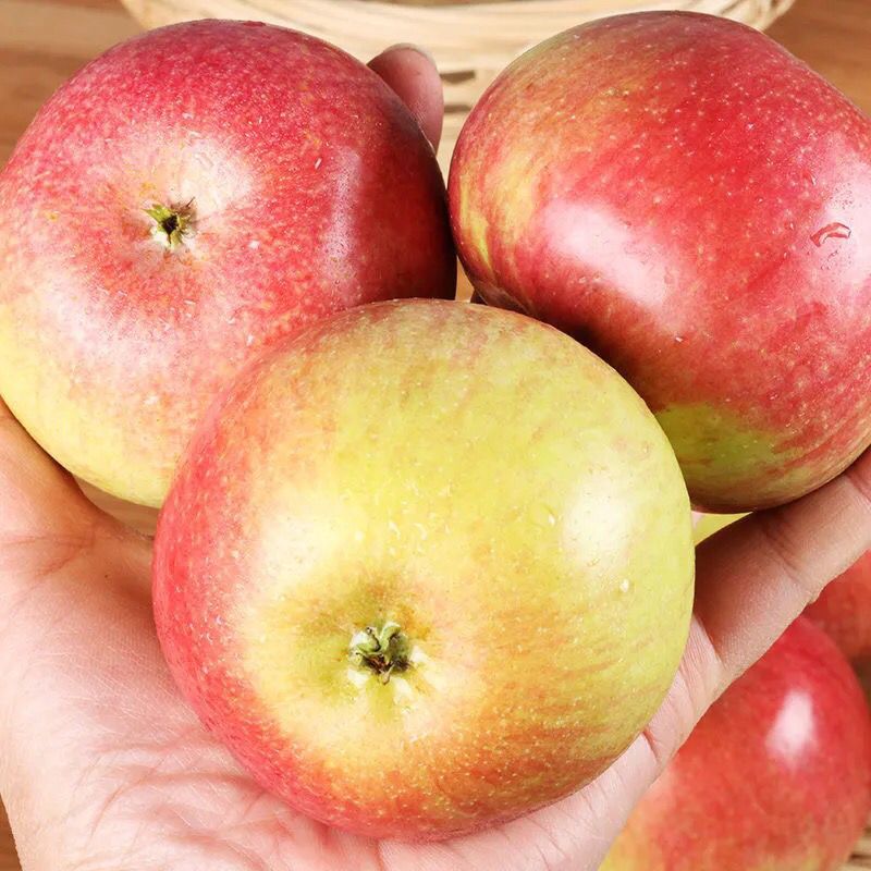 东北国光小苹果斤5斤2斤特产果光苹果3新鲜非富士水果批发厂代发