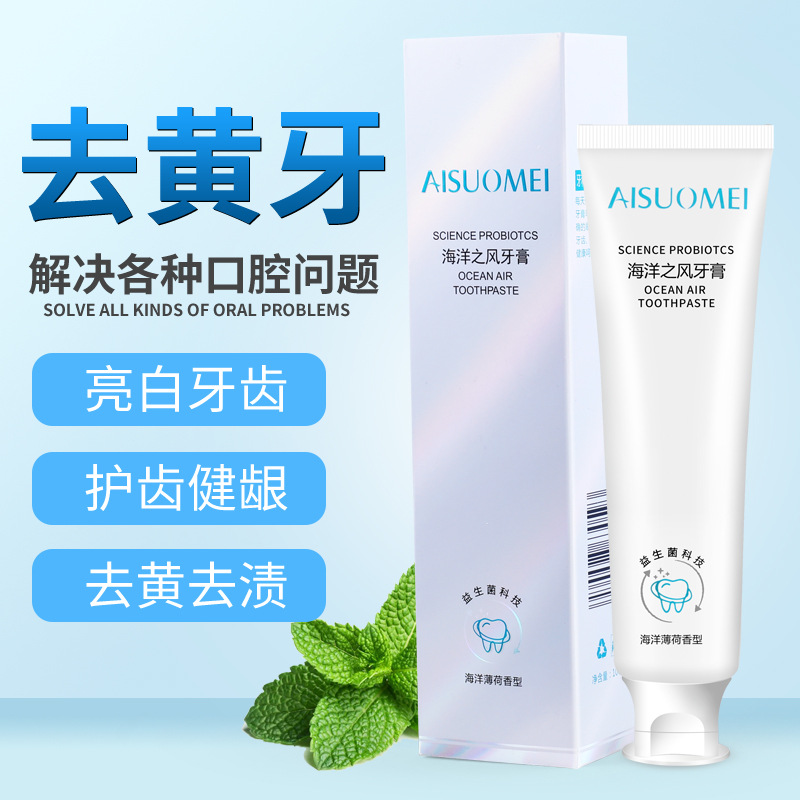 网红同款100g海洋之风护齿牙膏海洋薄荷香型牙膏亮白去渍家用牙膏