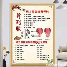 男士前列腺保养海报男士养生图片肩颈背部面部肾部保养挂图宣传画