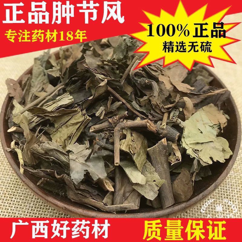 肿节风新货500克 九节茶九节风接骨莲九爪龙正品新货肿节风无硫