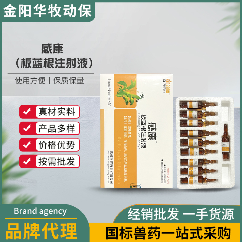 兽用感康 板蓝根注射液 宠物动物医疗用兽药便捷注射液板蓝根