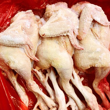 直脚三黄鸡 5只-12只装老母鸡公鸡口水鸡整鸡商用整箱批发19斤/件