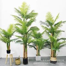 仿真植物树热带蕉皮葵大型植物凤尾葵盆栽散尾葵家居客厅装饰假树