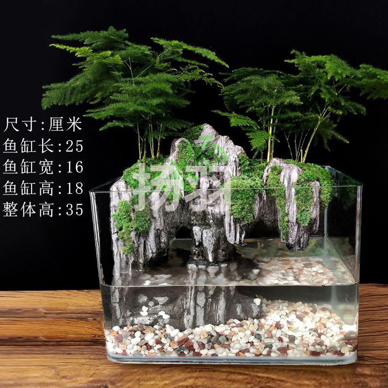 扬羽大鱼缸流水造景全套生态微景观小型桌面装饰真植物水陆缸山水