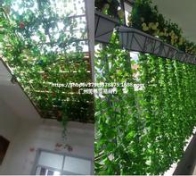 绿萝葡萄树叶子绿叶假花塑料藤蔓植物吊顶绿植墙面装饰花藤条缠绕