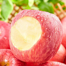 山东红富士苹果自家果园应季新鲜水果脆甜多汁苹果
