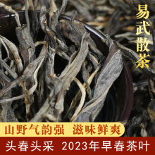 2023新茶叶易武普洱生茶散茶500g袋装云南普洱茶老树早春茶叶