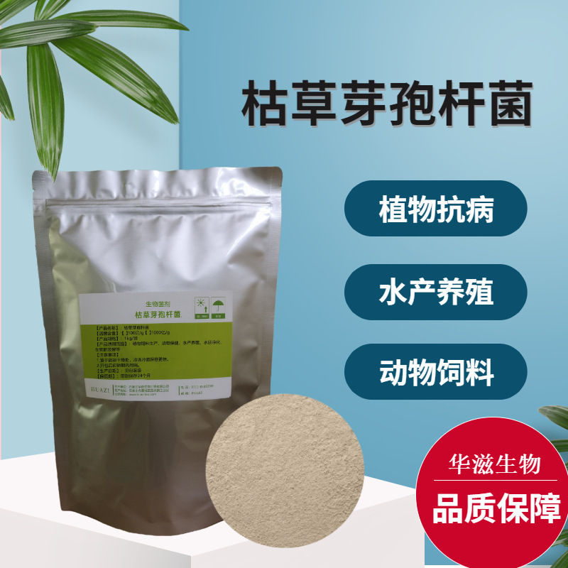 批发农用枯草芽孢杆菌1000亿水产饲料添加剂微生物菌剂 em菌